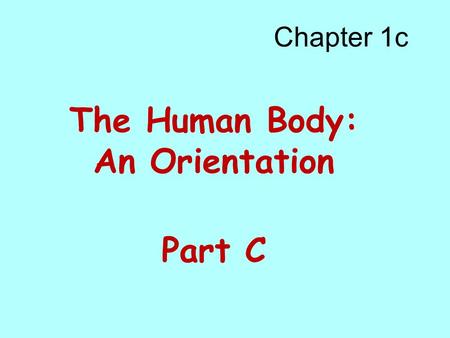 The Human Body: An Orientation Part C