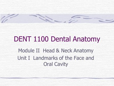 DENT 1100 Dental Anatomy Module II Head & Neck Anatomy Unit I Landmarks of the Face and Oral Cavity.