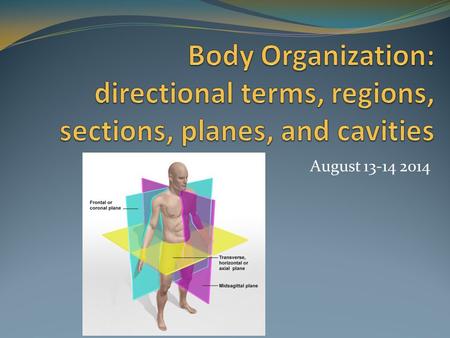 Body Organization: directional terms, regions, sections, planes, and cavities August 13-14 2014.