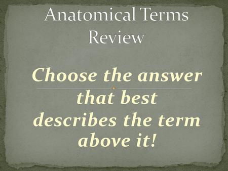 Choose the answer that best describes the term above it!