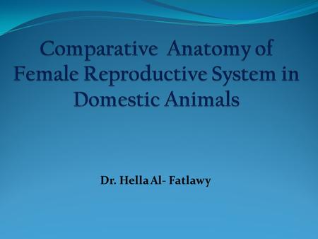 Dr. Hella Al- Fatlawy. Ovary A. Location 1. mare :  The ovaries in mares is suspended by broad ligament dorsally to ventral cavity toward the lumber.