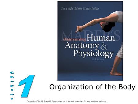 Organization of the Body Copyright © The McGraw-Hill Companies, Inc. Permission required for reproduction or display.