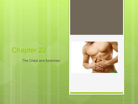 Chapter 22 The Chest and Abdomen.