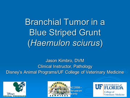 Branchial Tumor in a Blue Striped Grunt (Haemulon sciurus) Jason Kimbro, DVM Clinical Instructor, Pathology Disney’s Animal Programs/UF College of Veterinary.