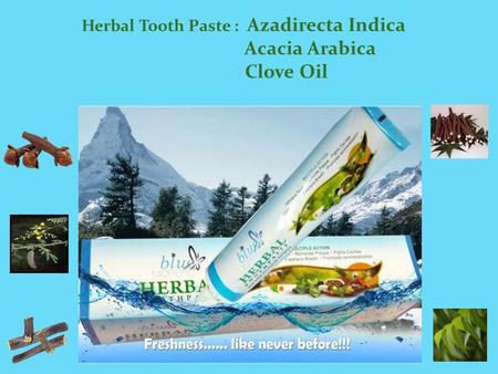 Herbal Tooth Paste : Azadirecta Indica Acacia Arabica Clove Oil.