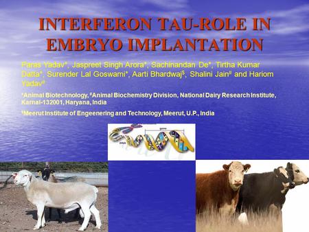 INTERFERON TAU-ROLE IN EMBRYO IMPLANTATION Paras Yadav*, Jaspreet Singh Arora*, Sachinandan De*, Tirtha Kumar Datta*, Surender Lal Goswami*, Aarti Bhardwaj.