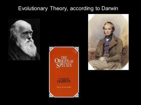 Evolutionary Theory, according to Darwin. Definitions and Components of Darwin’s Evolution Definition of Biological Change: Differential Persistence of.
