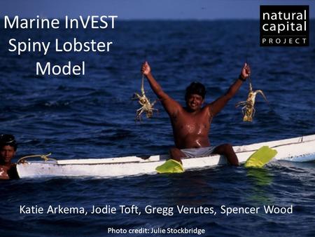 Marine InVEST Spiny Lobster Model Katie Arkema, Jodie Toft, Gregg Verutes, Spencer Wood Photo credit: Julie Stockbridge.