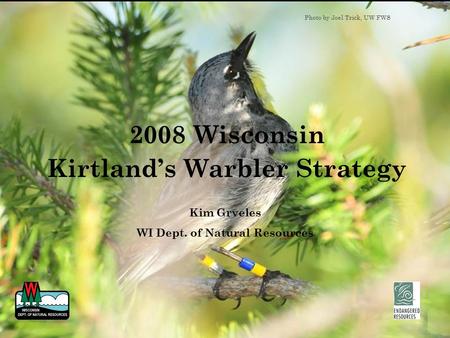2008 Wisconsin Kirtland’s Warbler Strategy Kim Grveles WI Dept. of Natural Resources Photo by Joel Trick, UW FWS.