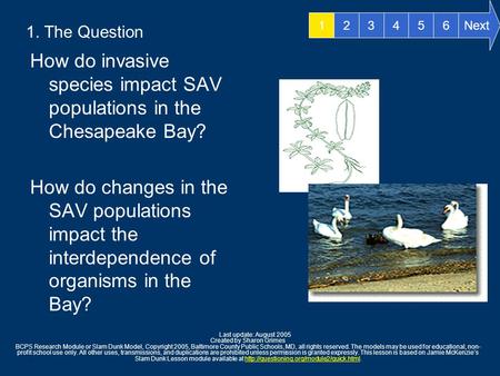 1. The Question How do invasive species impact SAV populations in the Chesapeake Bay? How do changes in the SAV populations impact the interdependence.
