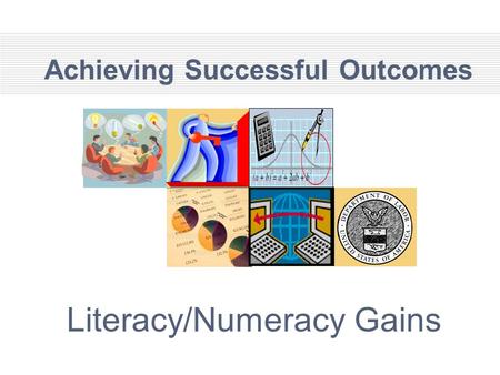 Achieving Successful Outcomes Literacy/Numeracy Gains.