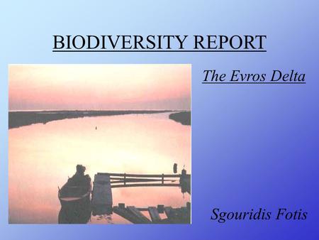 BIODIVERSITY REPORT The Evros Delta Sgouridis Fotis.