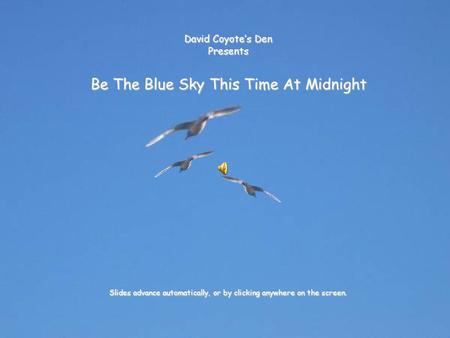 David Coyote’s Den Presents Be The Blue Sky This Time At Midnight Slides advance automatically, or by clicking anywhere on the screen.