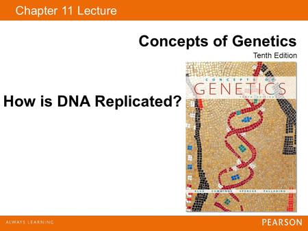 How is DNA Replicated?.