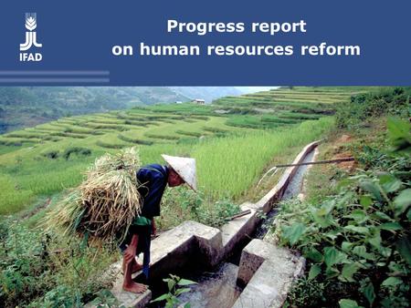 Progress report on human resources reform. Background Commitment of the Eighth Replenishment: further implementation of the HR reform December 2008: presentation.