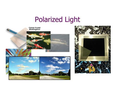 Polarized Light. 1) Unpolarized light is shone at a vertical polarizing filter. Through the filter you get a) all the light b) half the light c) 1/4 of.