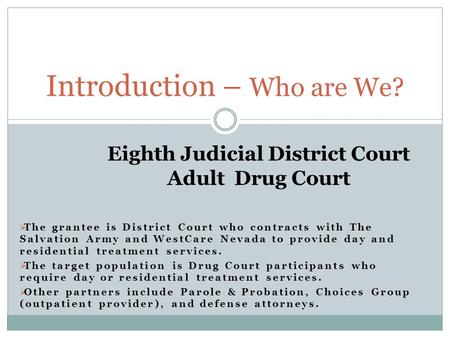 Eighth Judicial District Court Adult Drug Court  The grantee is District Court who contracts with The Salvation Army and WestCare Nevada to provide day.