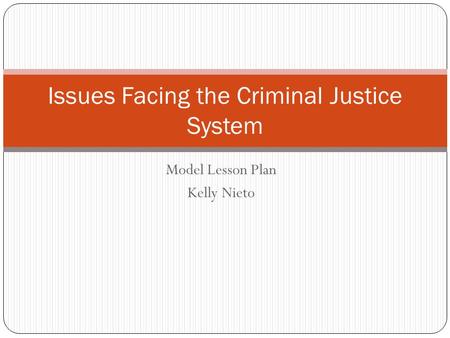 Issues Facing the Criminal Justice System