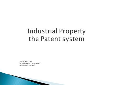 Industrial Property the Patent system