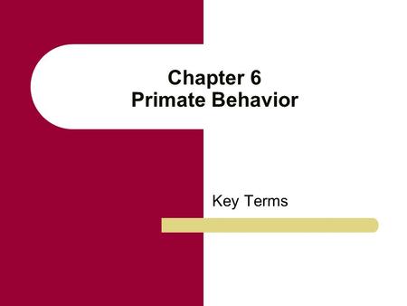 Chapter 6 Primate Behavior Key Terms. Social structure The composition, size, and sex ratio of a group of animals. Social structures, in part, are the.
