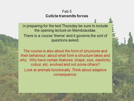 Feb 5 Cuticle transmits forces In preparing for the test Thursday be sure to include the opening lecture on Membracidae. There is a course ‘theme’ and.