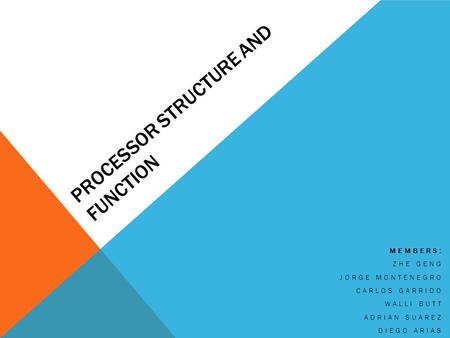 Processor structure and function
