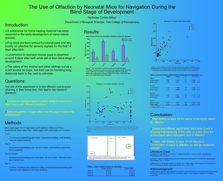 The Use of Olfaction by Neonatal Mice for Navigation During the Blind Stage of Development Nicholas Corbin Hilker Department of Biological Sciences, York.