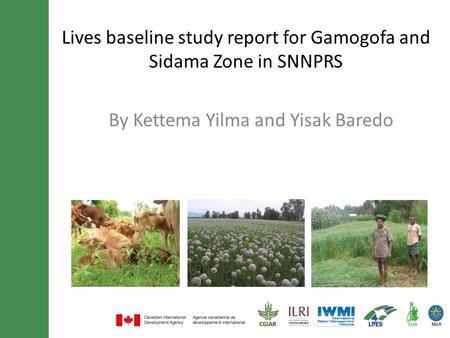 Lives baseline study report for Gamogofa and Sidama Zone in SNNPRS By Kettema Yilma and Yisak Baredo.