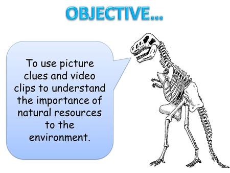 OBJECTIVE… To use picture clues and video clips to understand the importance of natural resources to the environment.