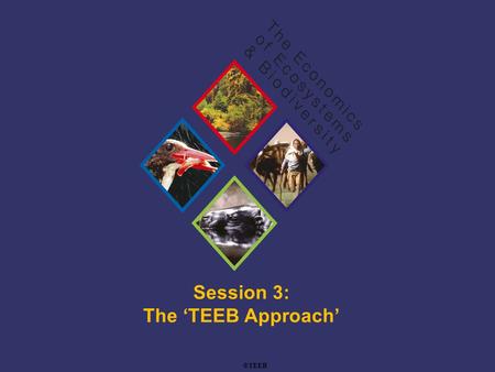 TEEB Training Session 3: The ‘TEEB Approach’ ©TEEB.