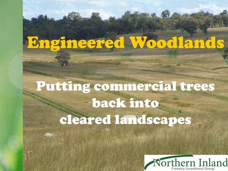 Engineered Woodlands Putting commercial trees back into cleared landscapes.