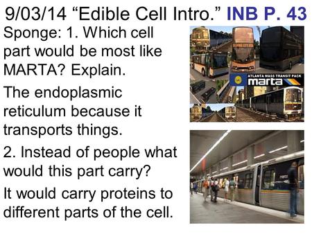 9/03/14 “Edible Cell Intro.” INB P. 43 Sponge: 1. Which cell part would be most like MARTA? Explain. The endoplasmic reticulum because it transports things.