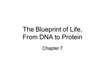 The Blueprint of Life, From DNA to Protein Chapter 7.