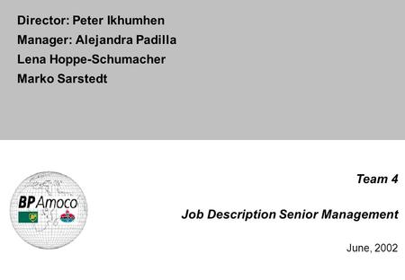 Team 4 Job Description Senior Management June, 2002 Director: Peter Ikhumhen Manager: Alejandra Padilla Lena Hoppe-Schumacher Marko Sarstedt.