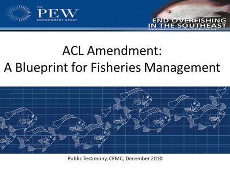 ACL Amendment: A Blueprint for Fisheries Management Public Testimony, CFMC, December, 2010 Public Testimony, CFMC, December 2010.