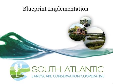 Blueprint Implementation. Ensuring effective implementation of the Blueprint “How do we link Blueprint products with organizational policies and activities?”