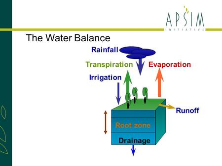 TranspirationEvaporation Rainfall Runoff Drainage Irrigation Root zone The Water Balance.