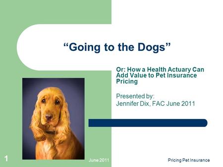 June 2011Pricing Pet Insurance 1 “Going to the Dogs” Or: How a Health Actuary Can Add Value to Pet Insurance Pricing Presented by: Jennifer Dix, FAC June.