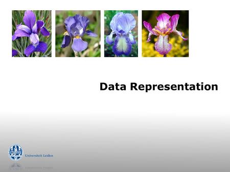 Data Representation. The popular table  Table (relation)  propositional, attribute-value  Example  record, row, instance, case  individual, independent.