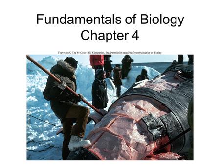 Fundamentals of Biology Chapter 4. Levels of Organization Atom Level Tissue Level Ecosystem Level Molecule Level Individual Level Organelle Level Organ.