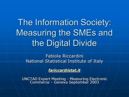 The Information Society: Measuring the SMEs and the Digital Divide