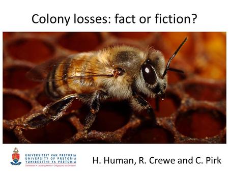 Colony losses: fact or fiction? H. Human, R. Crewe and C. Pirk.
