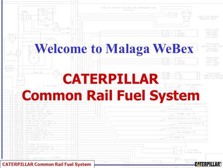 Welcome to Malaga WeBex Common Rail Fuel System