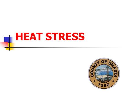 HEAT STRESS. Prepared by Paul Young 2 Heat Sources Temperature Humidity Radiant Heat Air Velocity All of these have an effect on the human body and the.