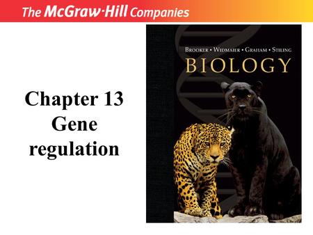 Title Chapter 13 Gene regulation. CO 13 Fig. 13.1.