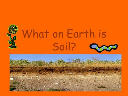 What on Earth is Soil?.