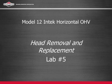 Model 12 Intek Horizontal OHV