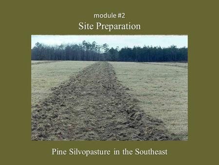 Module #2 Site Preparation Pine Silvopasture in the Southeast.