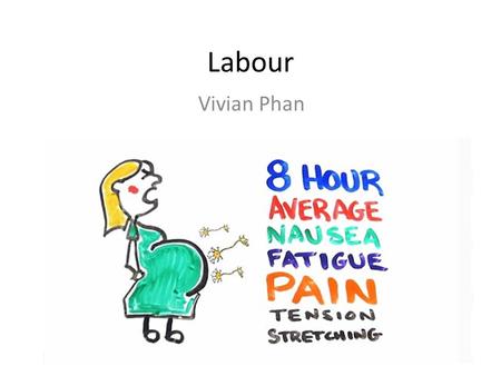 Labour Vivian Phan. 3 stages of labour 1. Creation of birth canal – Start: sudden increase in frequency & force of contractions (hormones?) – Finish: