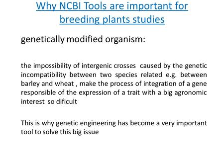 Why NCBI Tools are important for breeding plants studies genetically modified organism: the impossibility of intergenic crosses caused by the genetic incompatibility.
